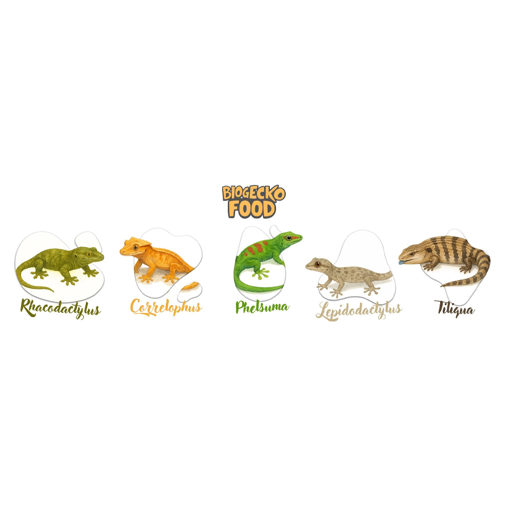 BioGecko Food Banana & Apple Karma dla Gekonów Orzęsionych 100g